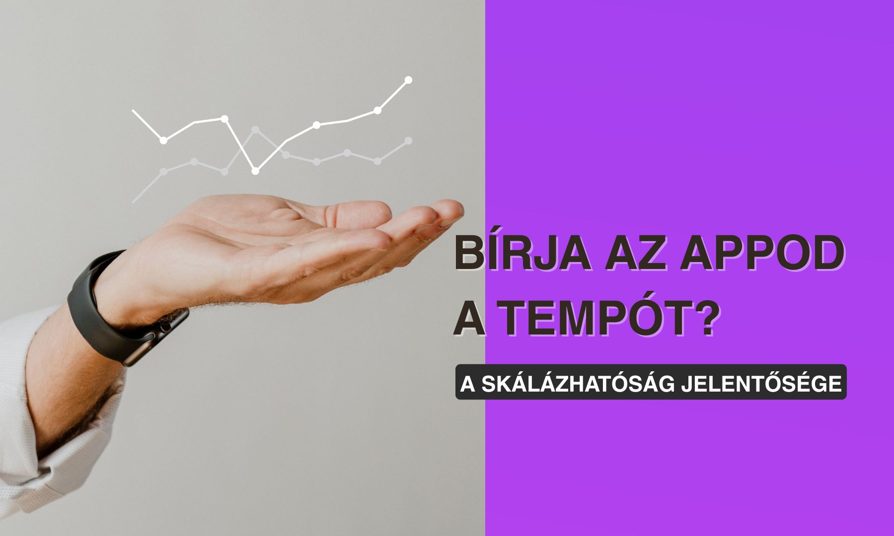 Bírja az appod a tempót? – A skálázhatóság jelentősége